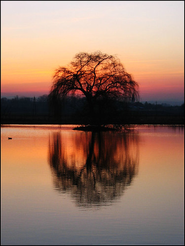 Sunset: The Magic Tree by aga18 :)