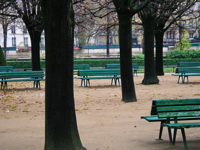 Benches of Notre Dame