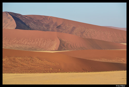 Grass and sanddunes by Dan Wiklund