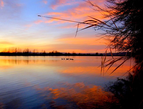 park morning orange water birds clouds sunrise river washington columbia leslie groves richland