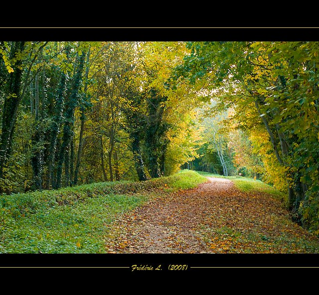 Petit Chemin de Bord de Loire