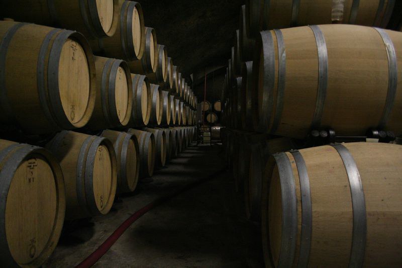 Barrels in the Goriška brda cellar