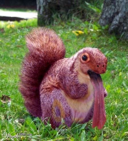 real lickitung | by grotle