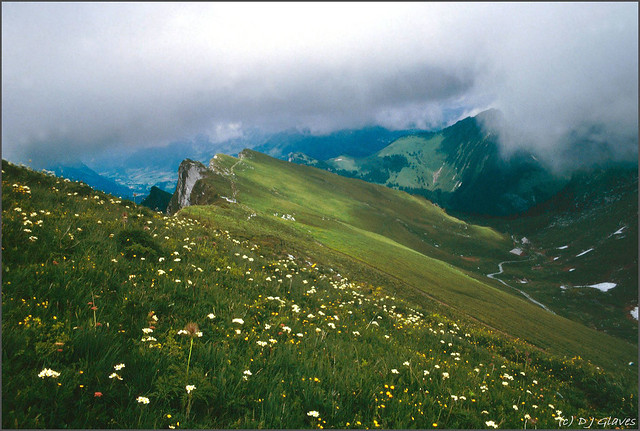 Alpine summer pastures