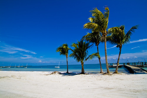 vacation beach florida palmtrees useppa floridavacation captivacruises useppaisland