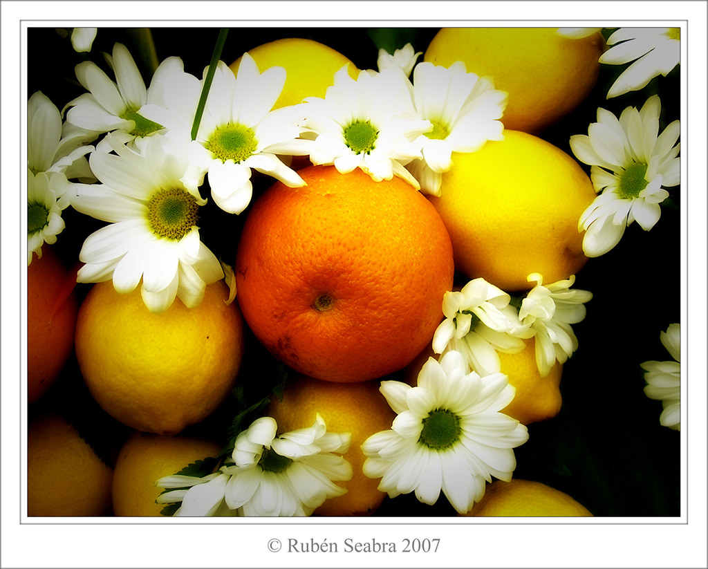 Limones, Naranjas y Gerberas by *atrium09