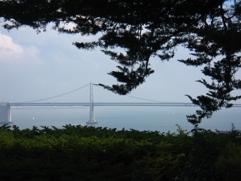 Bay Bridge in the Distance