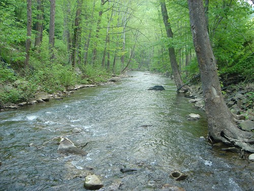 creek river stream westvirginia silaslane budwv alpocawv guyandotteriver