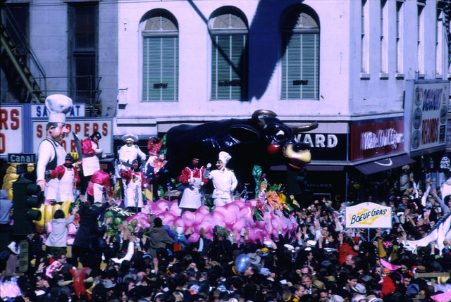 boeuf gras float on canal street
