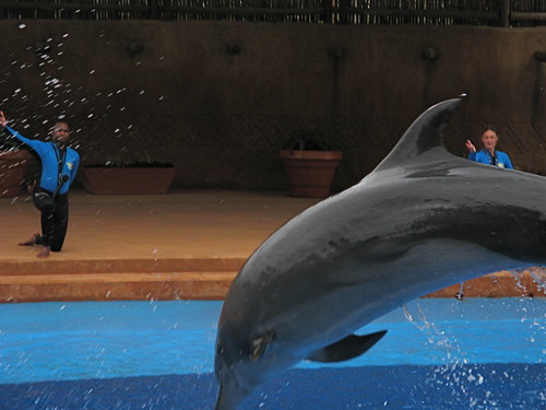 uShaka Marine World