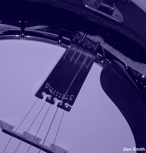 Stelling banjo. | by danny-79