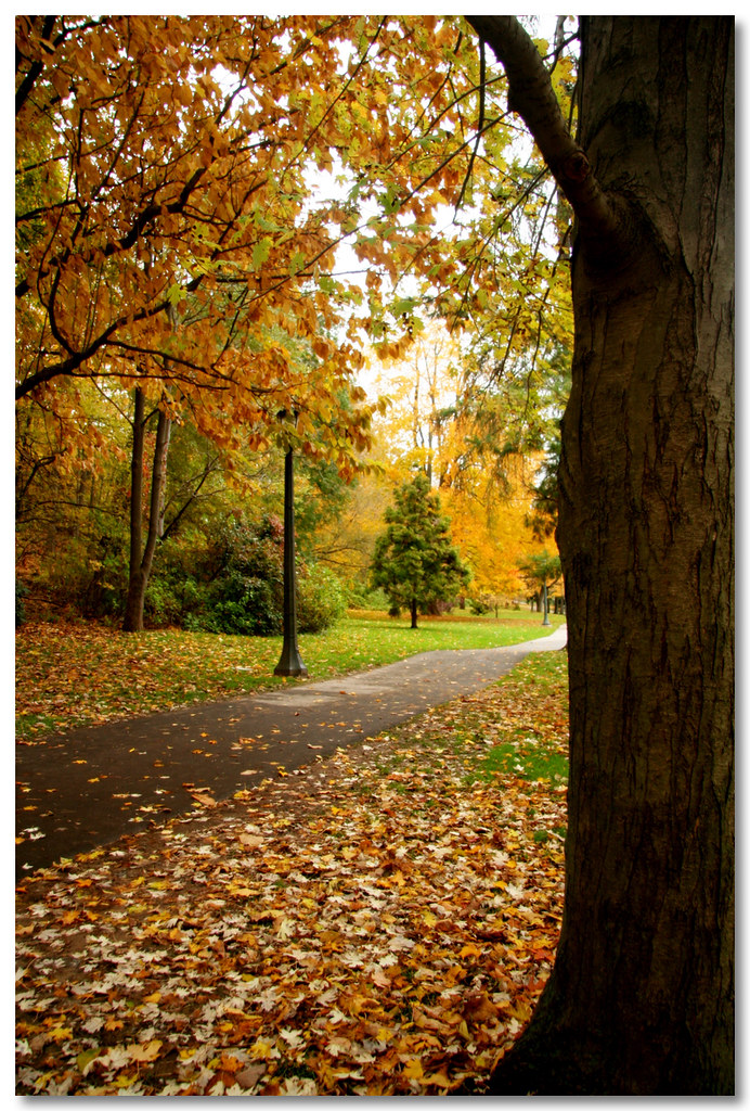 Niagara Autumn Colors | Niagara - Canada | Cynthia M. Cavalcanti | Flickr
