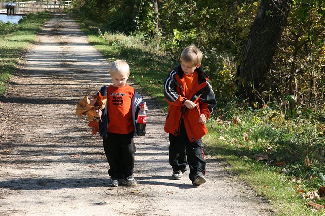 brothers strolling
