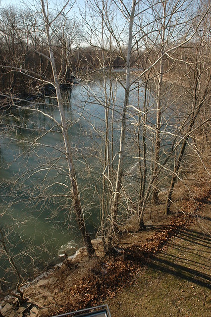 Looking upstream at the East Fork of the White River in Columbus, Indiana from the 84-foot-tall observation tower in Mill Race Park.