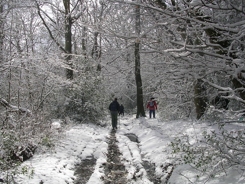 Snow scene Haslemere Circular (silent walk)