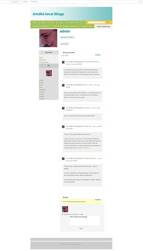 Wordpress