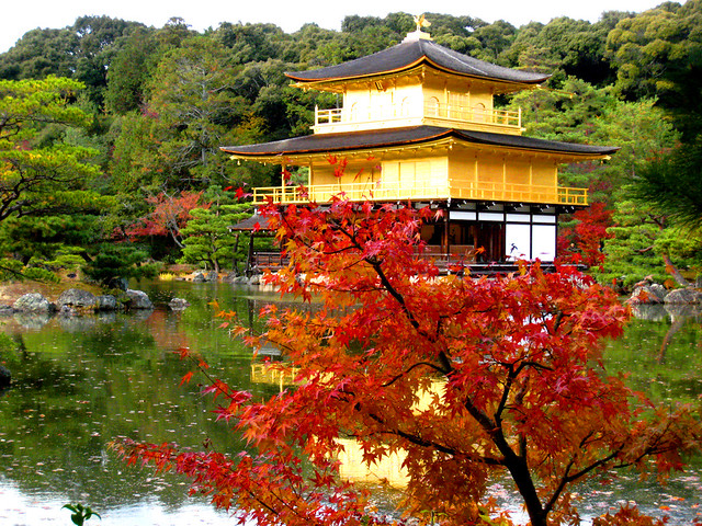 Kinkaku-ji in Autumn