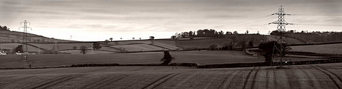 Electrified Fields | by Dan Payne1