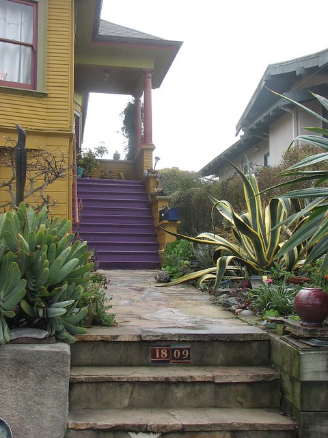 purple stairs
