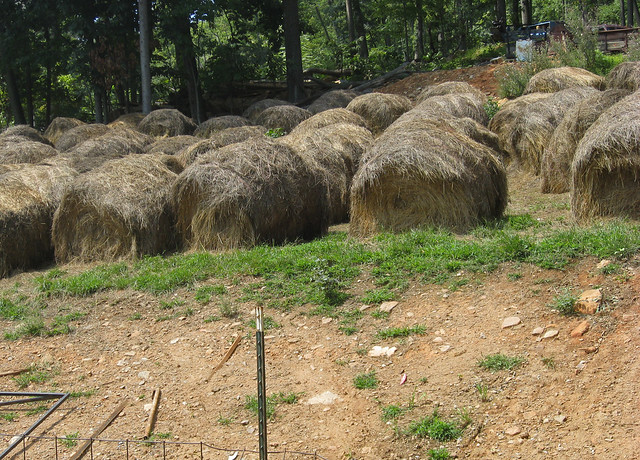 Hay stored outside