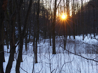 Flickr photo: Pel bosco. Piana dei Monti, 20 gennaio 2008