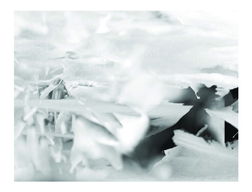 Collage 6 | by Agaula