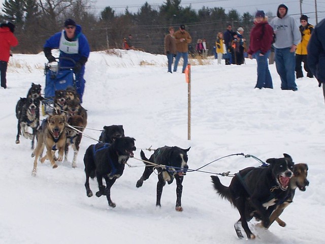 Laconia Dog Sled Races 2