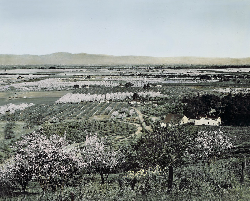 Overlooking Santa Clara Valley, c.1890