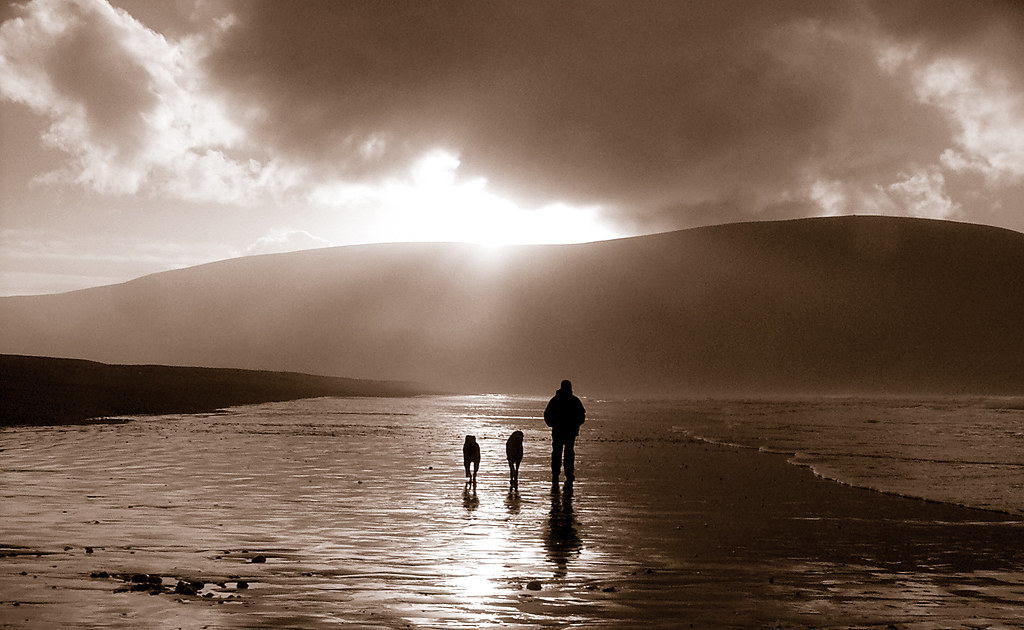 Morning Silhouettes Keel Bay, Achill Island, Co Mayo, Eire  Sepia