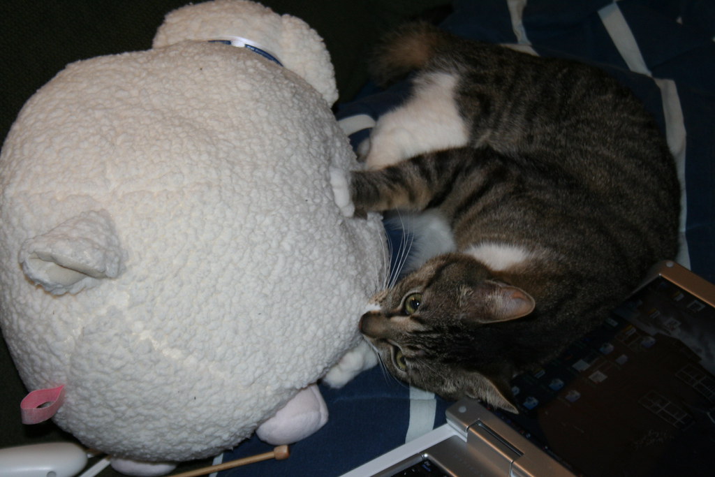 Kilgore and his inappropriate love for lambie | He was stand… | Flickr