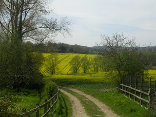 Yellow view Yalding to Sevenoaks