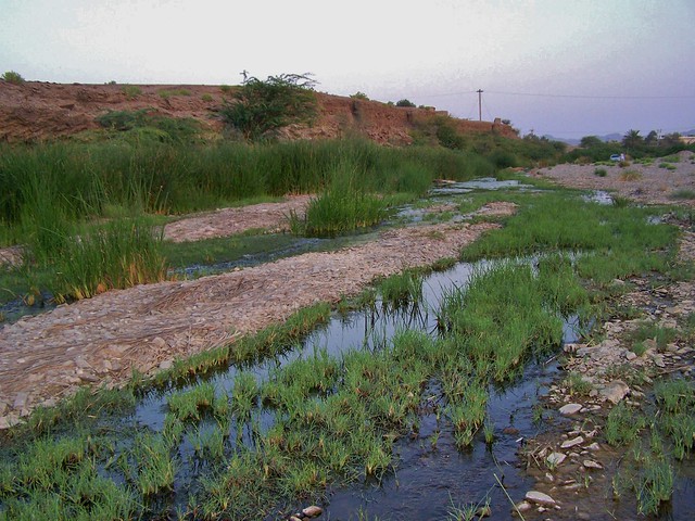 Pond at Turbat, Balochistan, Pakistan - March 2008