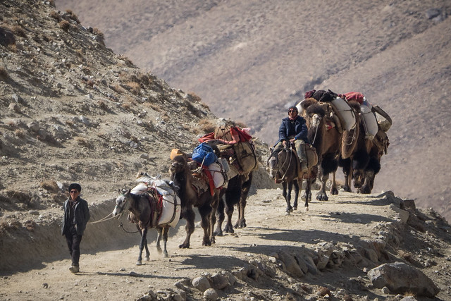 Camel Caravan Wakhan Corridor