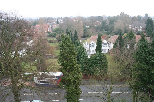 The view