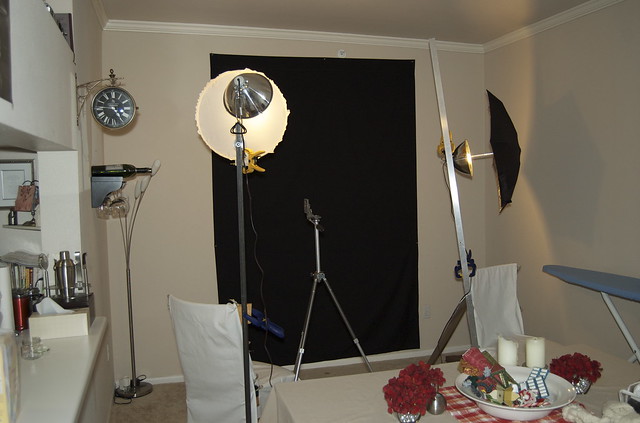 DIY Home Portrait Studio