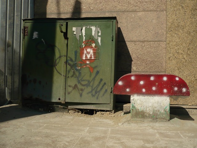 Magic sunny mushroom