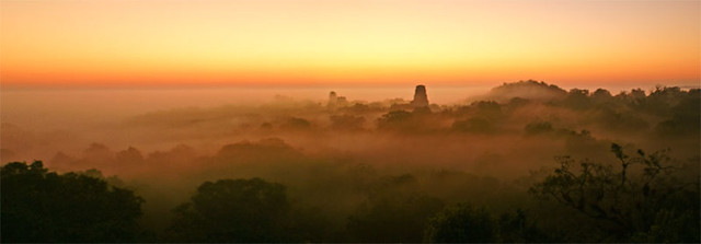 Mist Over Tikal