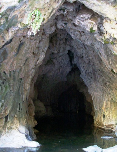 california naturalbridge cave cavern calaverascounty speleothems mlhradio naturalbridgetrail uppernaturalbridge