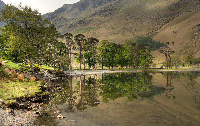 Buttermere South Bank 2