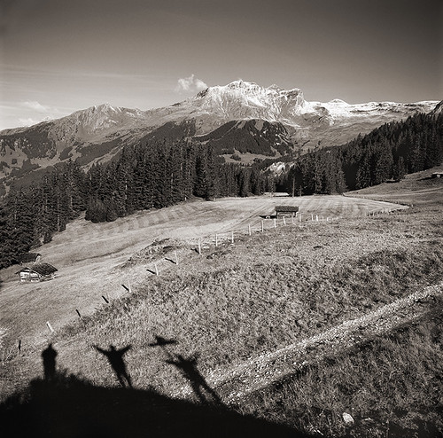 Swiss Shadows by Arbor Lux