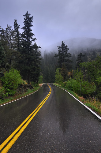 Misty Mountain Road Trip by Fort Photo