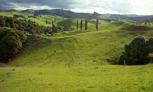 travel day2 newzealand green grass geotagged northisland lordoftherings waitomo theshire film1015 waitomovalley glowingwormcave geo:lat=38256098 geo:lon=175110151