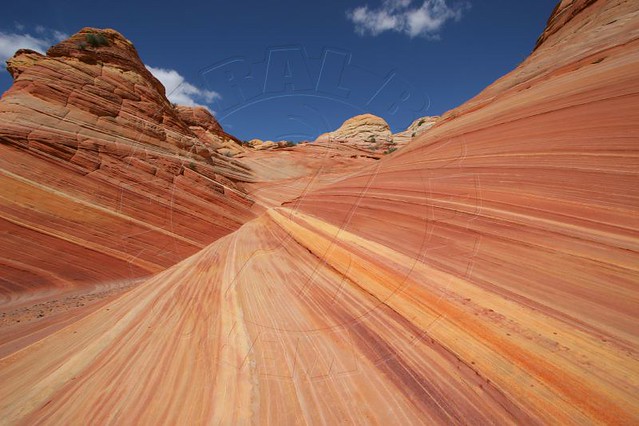 sandstone wave