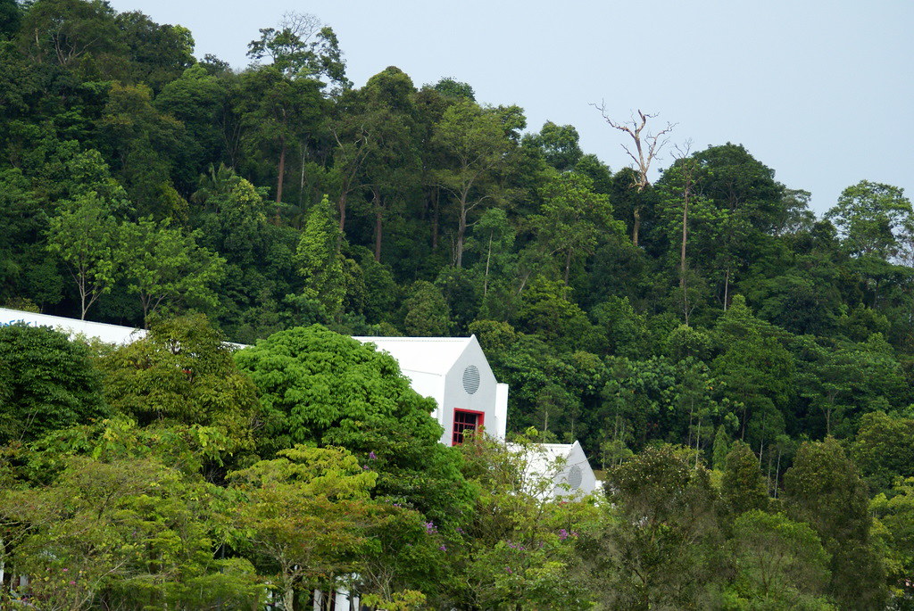 Hutan Simpan Kekal In English - For more information and source, see on