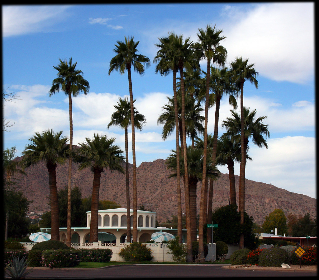 Scottsdale, Arizona Palm Trees and Pool by Juli Kearns (Idyllopus)