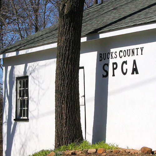 Bucks County SPCA Did the dogs today, so get ready. ) ww… Flickr