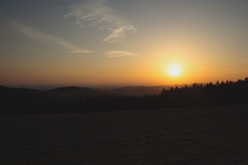 IMG_7982 by Daniel Pettinger, trees light sunset sun clouds evening abend licht sonnenuntergang forrest wolken sonne wald bäume ki