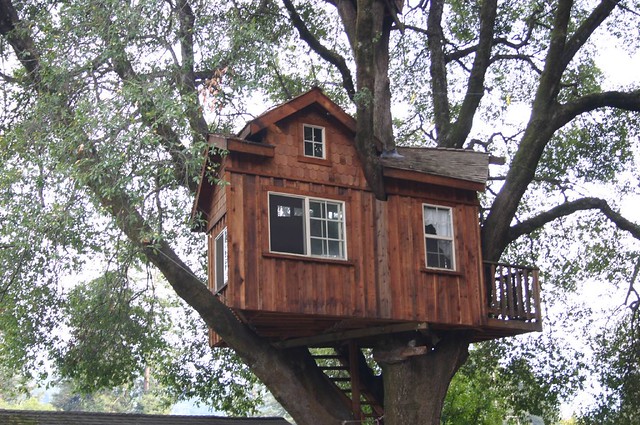 Boulder Creek tree house