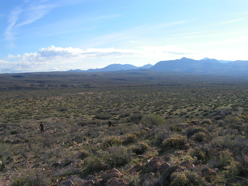 family arizona skull desert brothers hunting valley