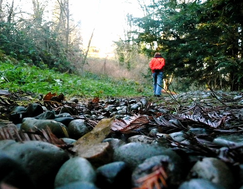 On the Path | by MichaelChuck